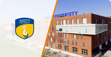Distance Education Courses 70 BCA in Amity University